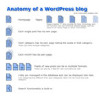 Wordpress Structure